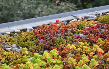 the cost of Withypool green roof installation