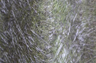 Withypool fibreglass roof work